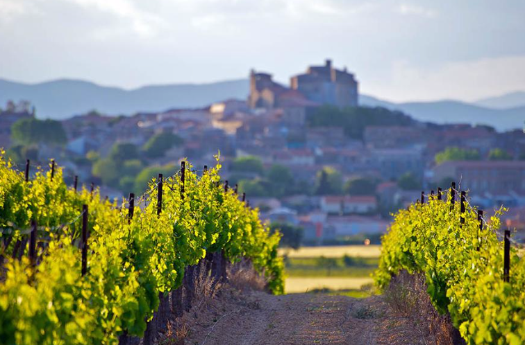 Ooh la la! 2020 French trips dates are here
