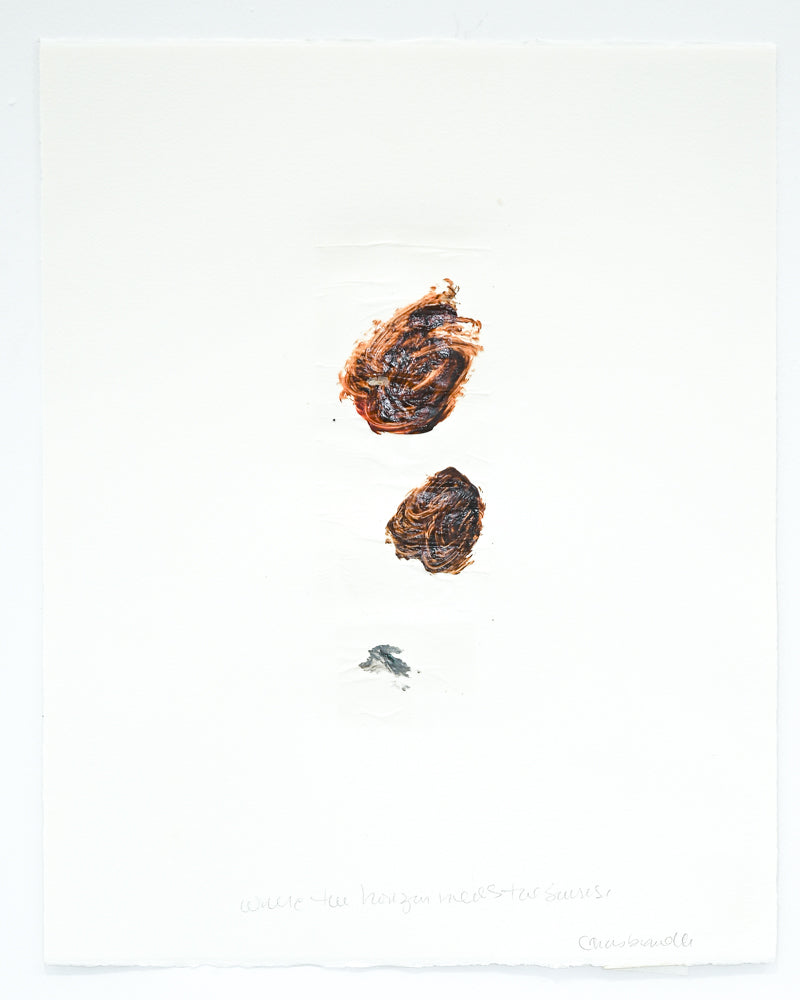 Chris Brandell - Love Poems 48 (20 x 16)