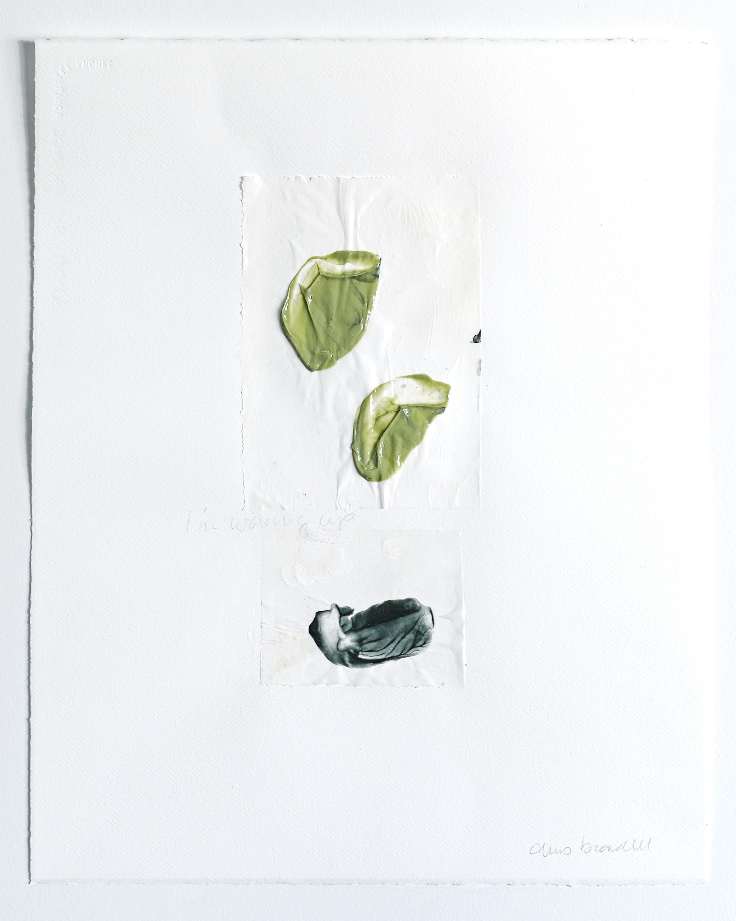 Chris Brandell - Love Poems 76b (25 x 21) - RESERVED