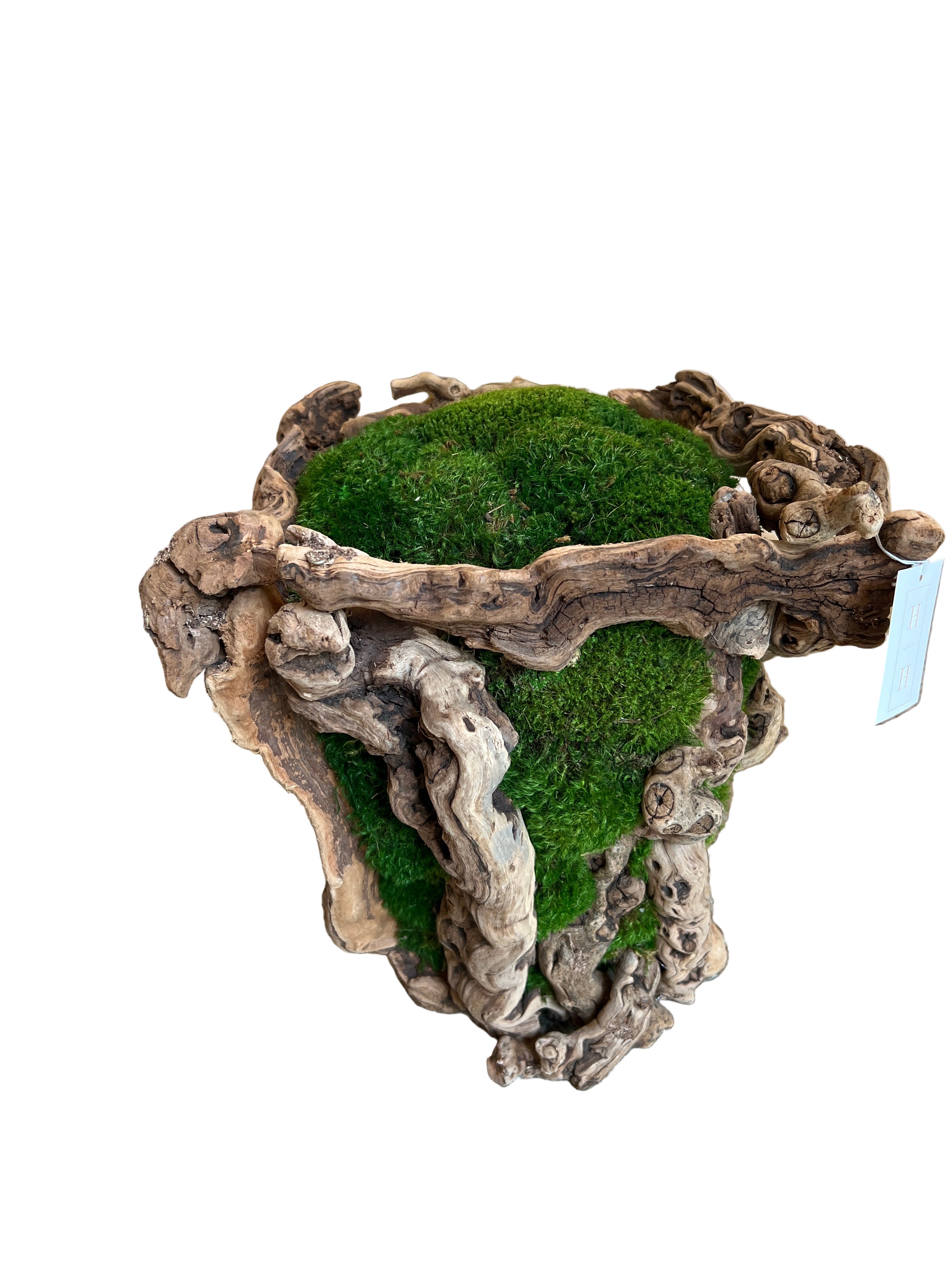 Grapevine Mossy Basket 16"