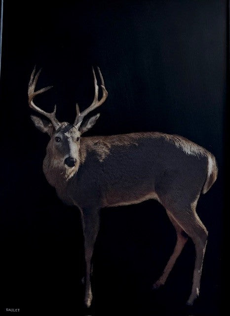Dawne Raulet - Buck Wild (40 x 30)