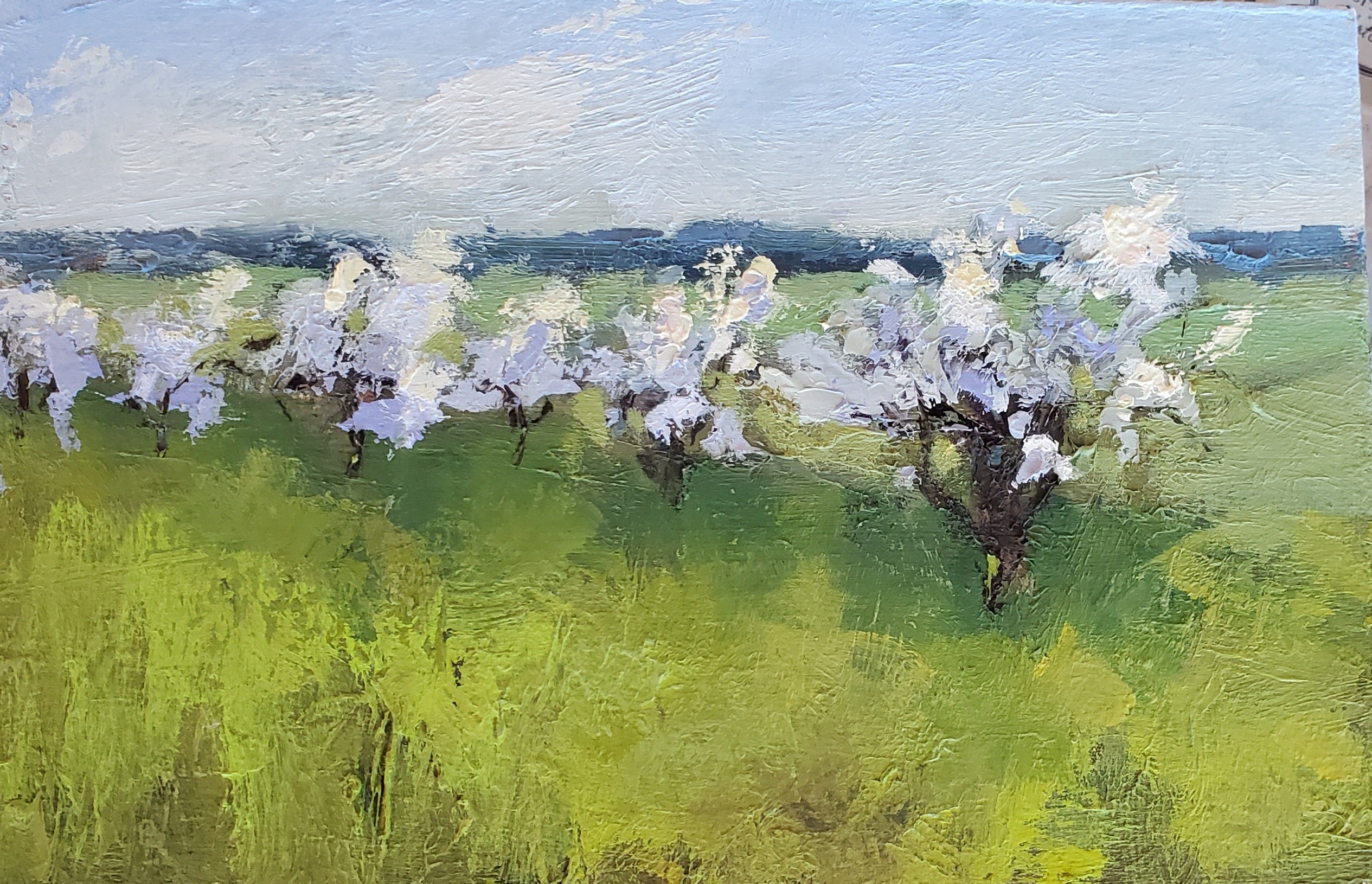 Bethanne Cople - Dancing Blossoms (6 x 9)