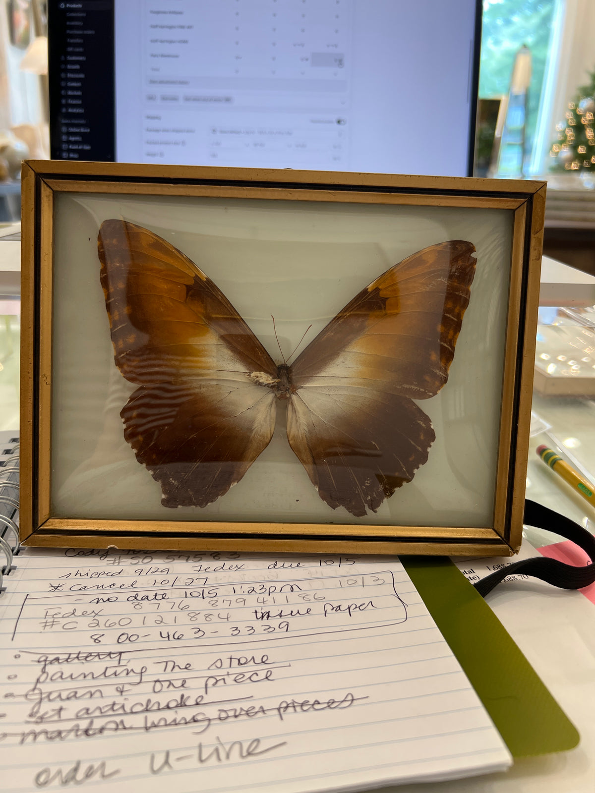 Framed Vintage Brown w/ Orange Butterfly