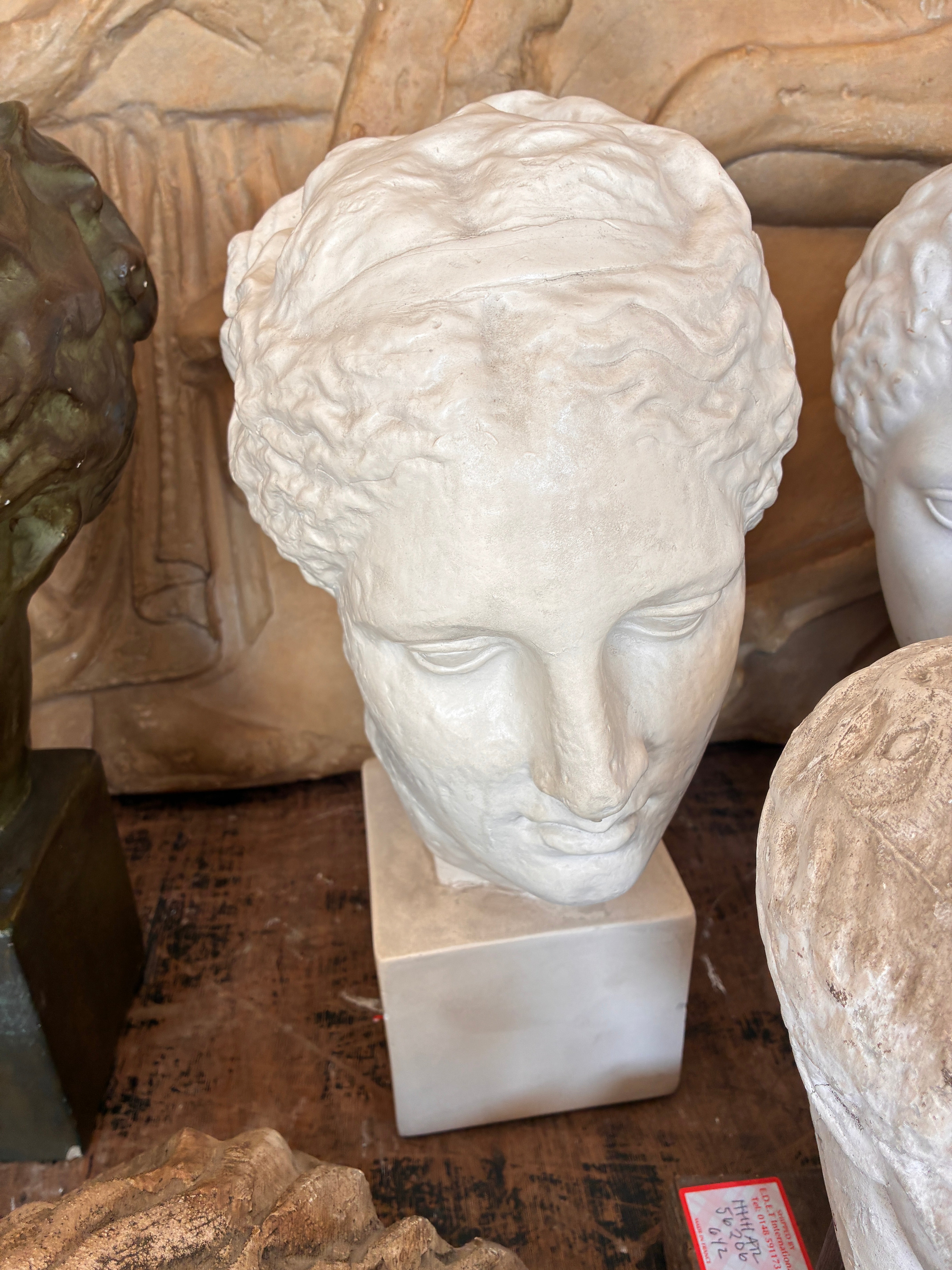 Plaster Bust from Paris