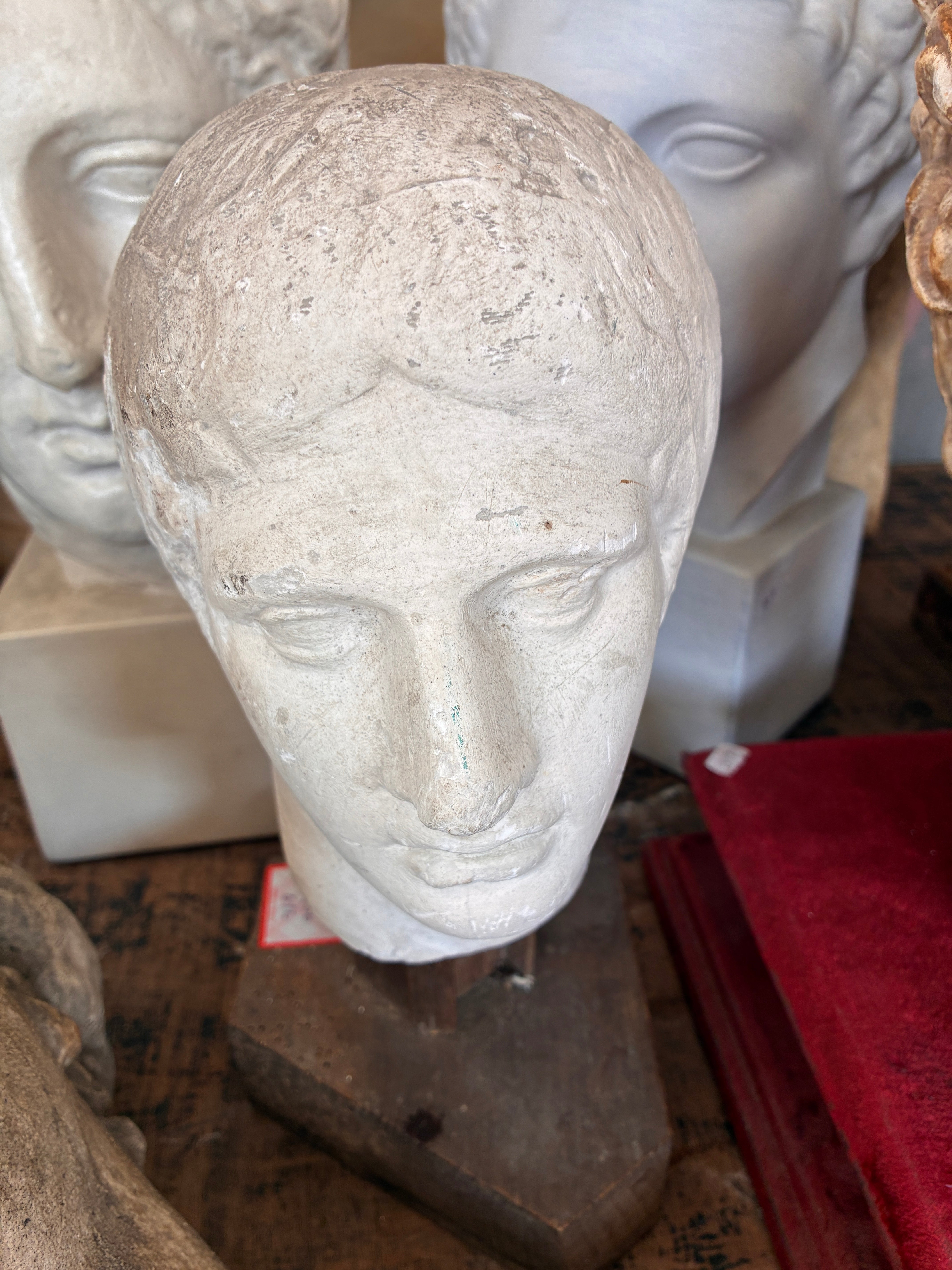 Plaster Bust on Wooden Stand