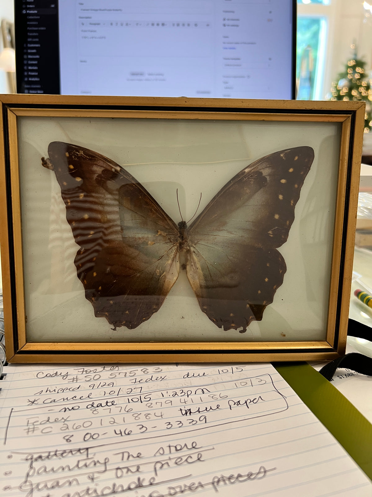 Framed Vintage Dark Brown Butterfly