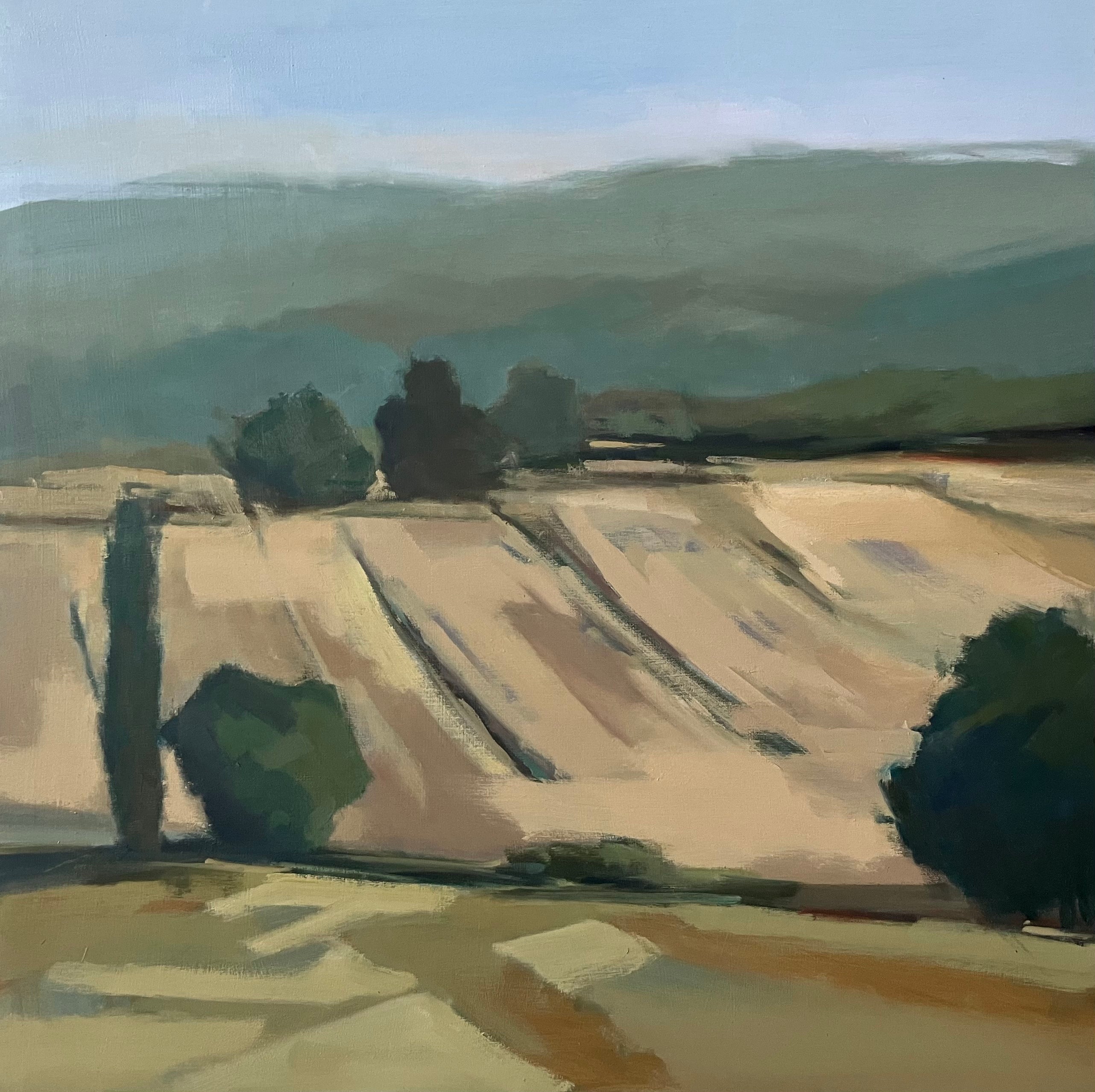 Lesley Powell - Lay of the Land (20 x 20)