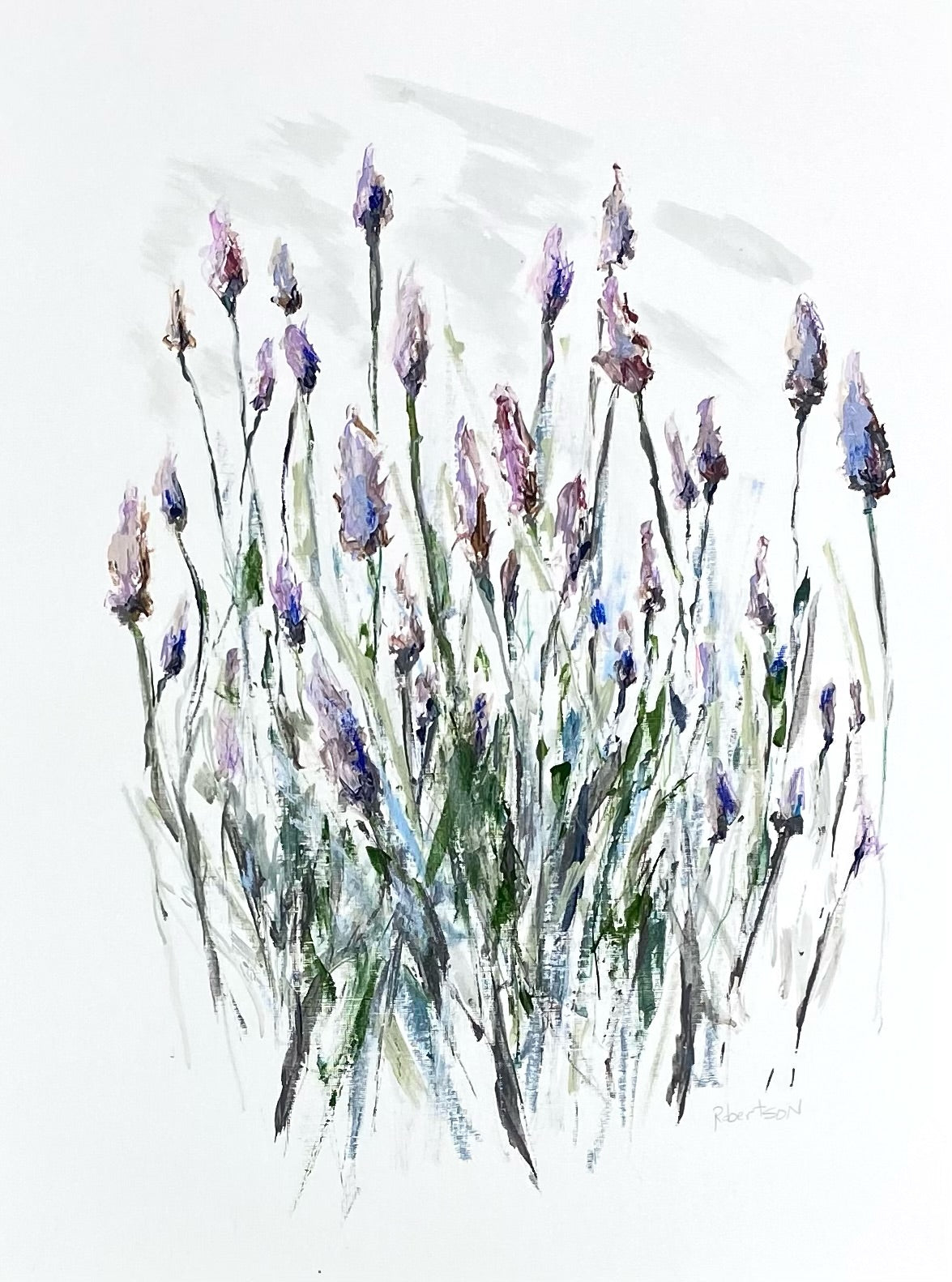 Sarah Robertson - Lavender Study (24 x 18)
