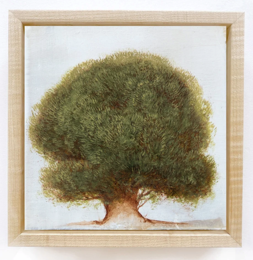 Jessica Pisano - Olive Tree (7 x 7)