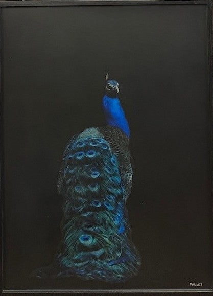 Dawne Raulet - Royal Display (40 x 30)