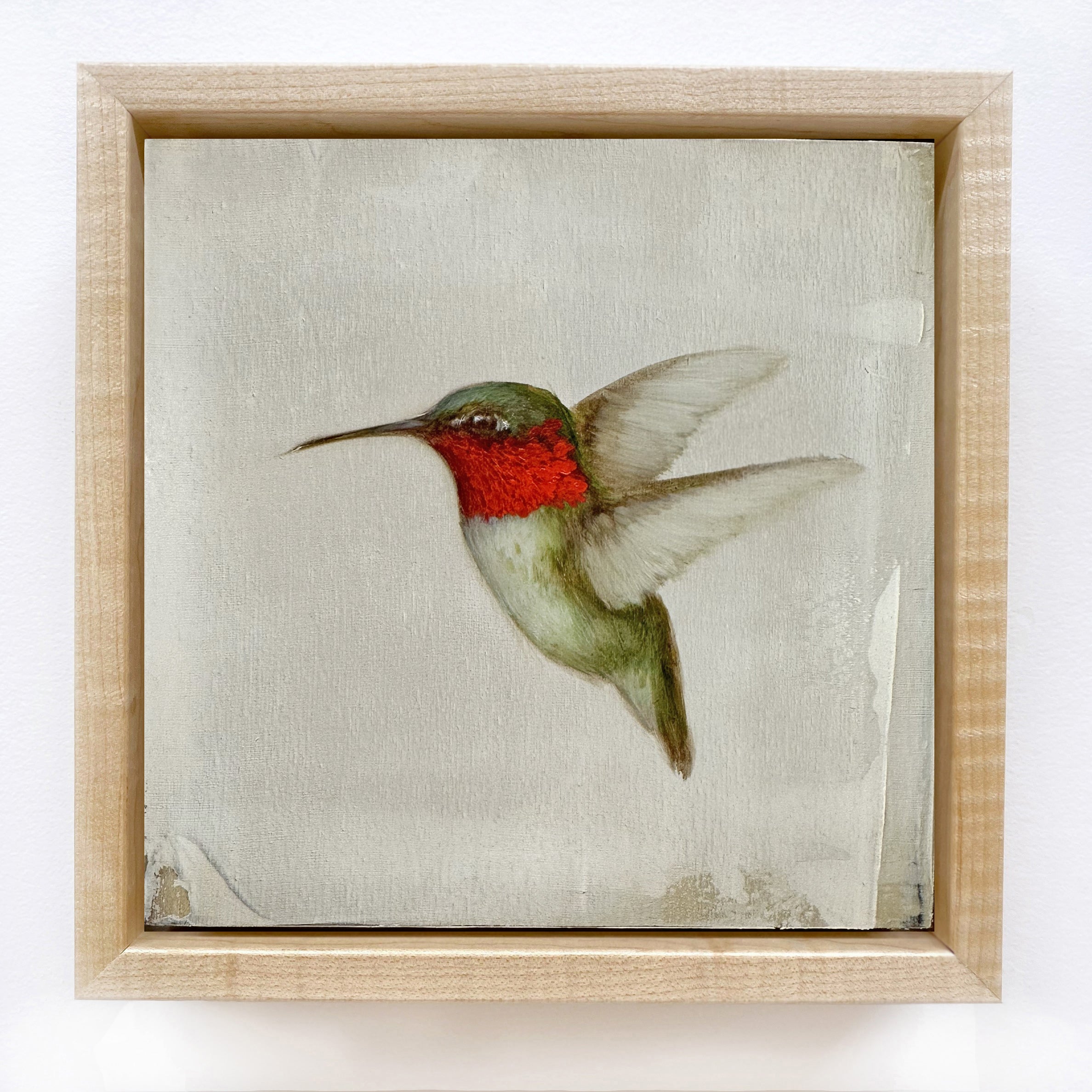 Jessica Pisano - Ruby-Throated Hummingbird #8 (6 x 6)-RESERVED