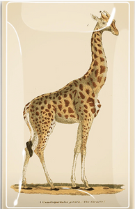Giraffe Tray 5' x 8"