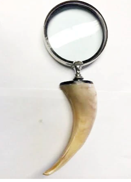 White Horn Tusk Magnifier