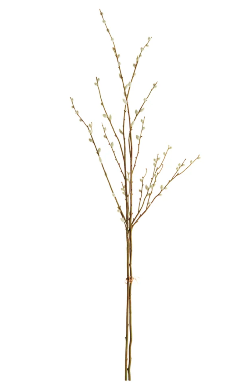 Pussywillow Stems 52"H Bundle of 2