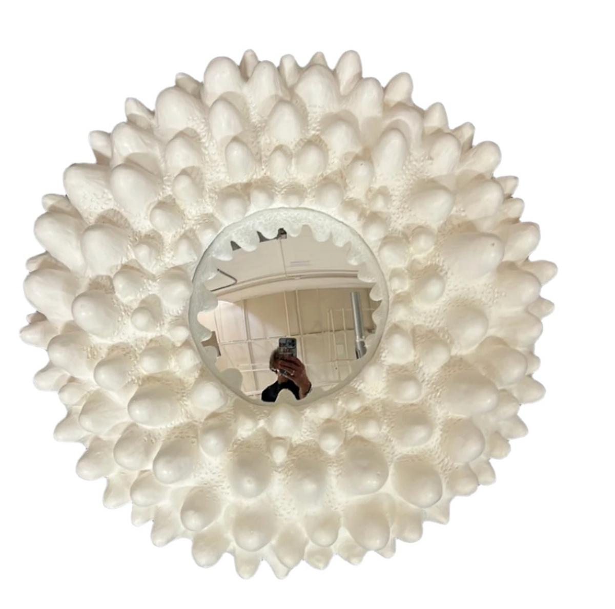 Hydra Mirror
