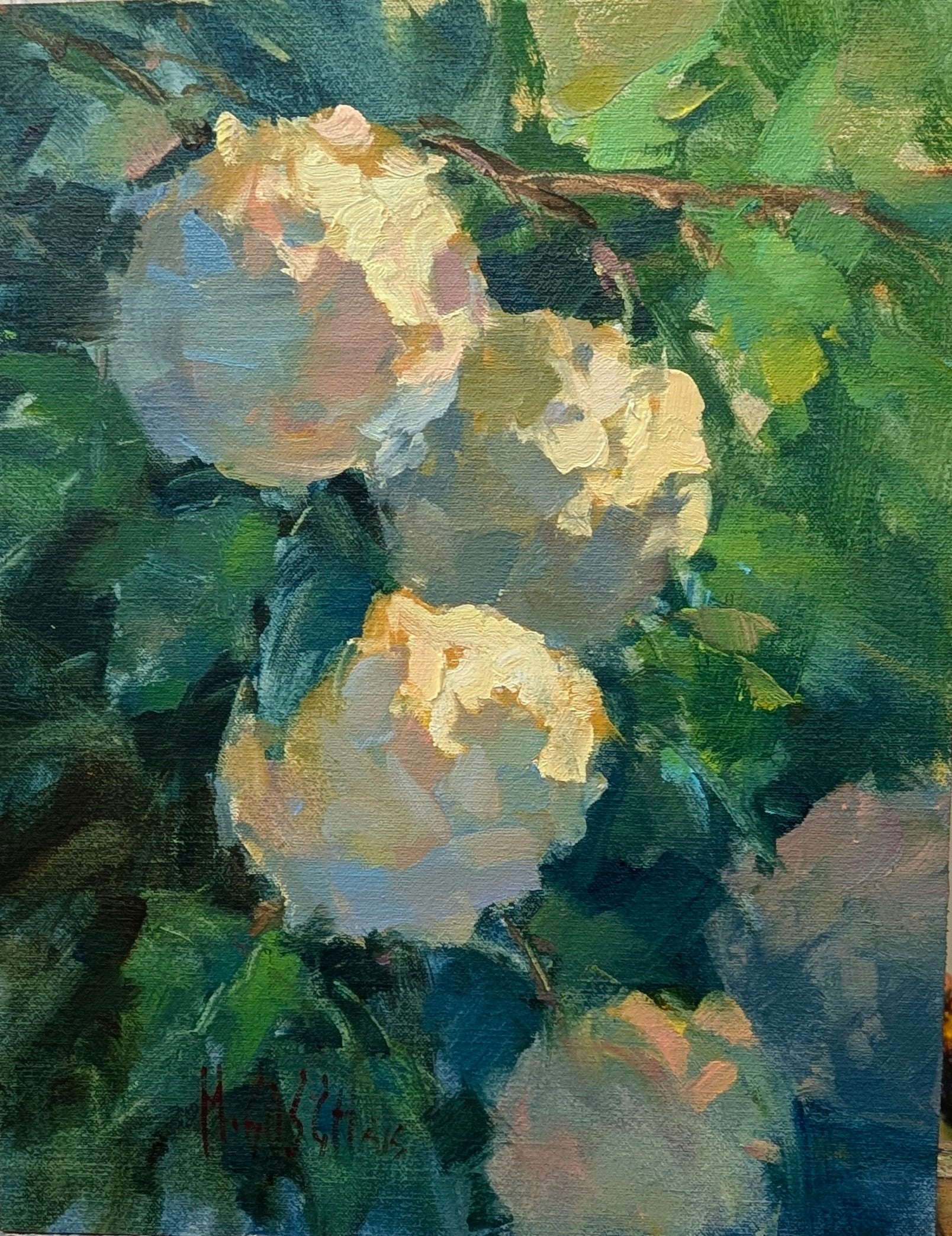 Millie Gosch - Spring Light (14 x 11)