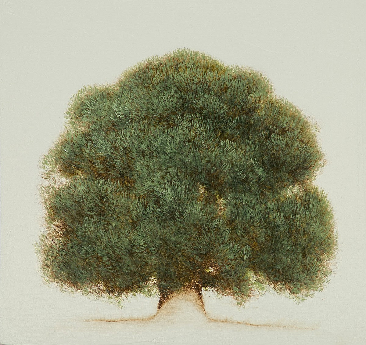 Jessica Pisano - Wisdom Tree II (12 x 12)