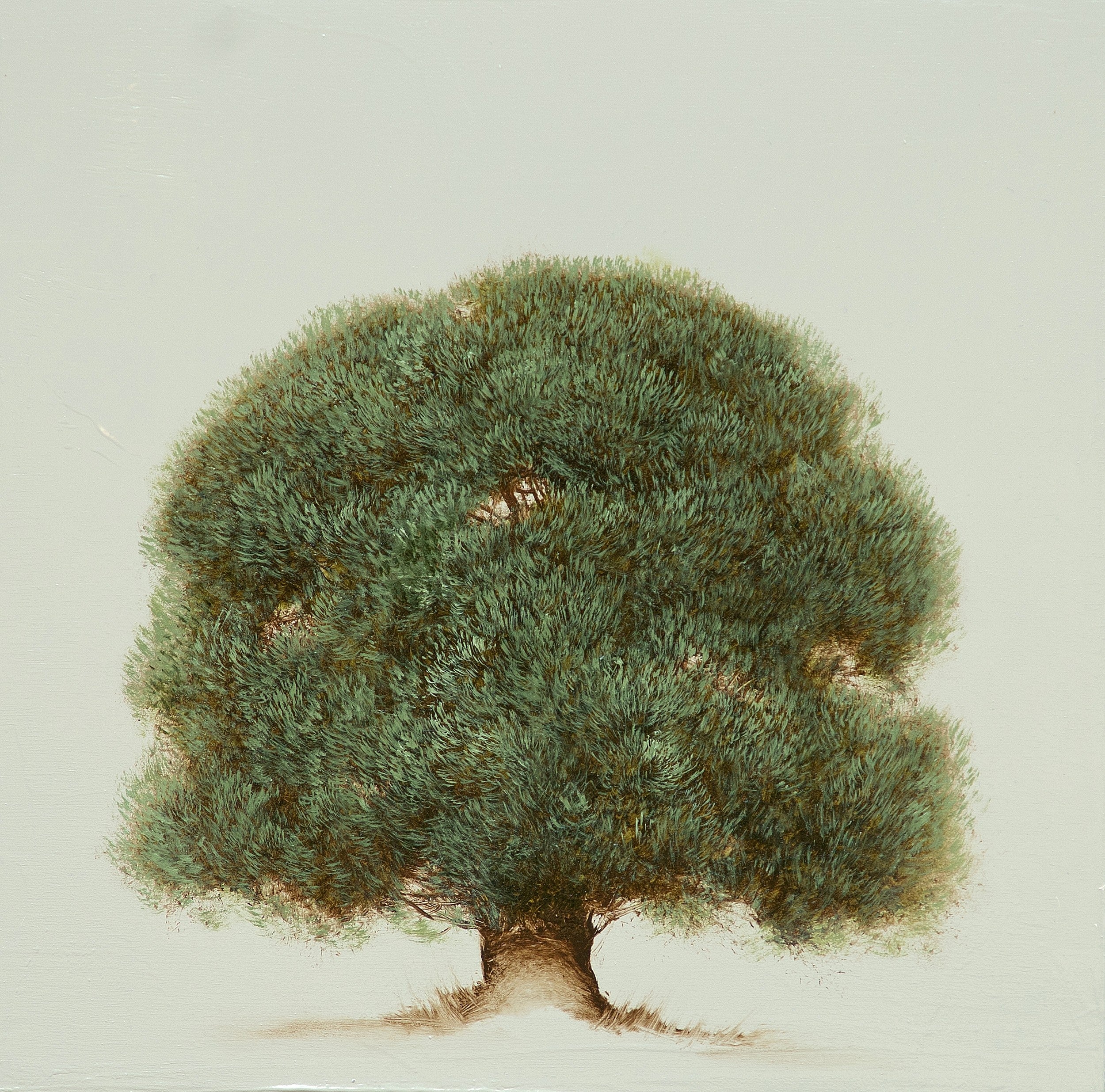 Jessica Pisano - Wisdom Tree I (12 x 12)