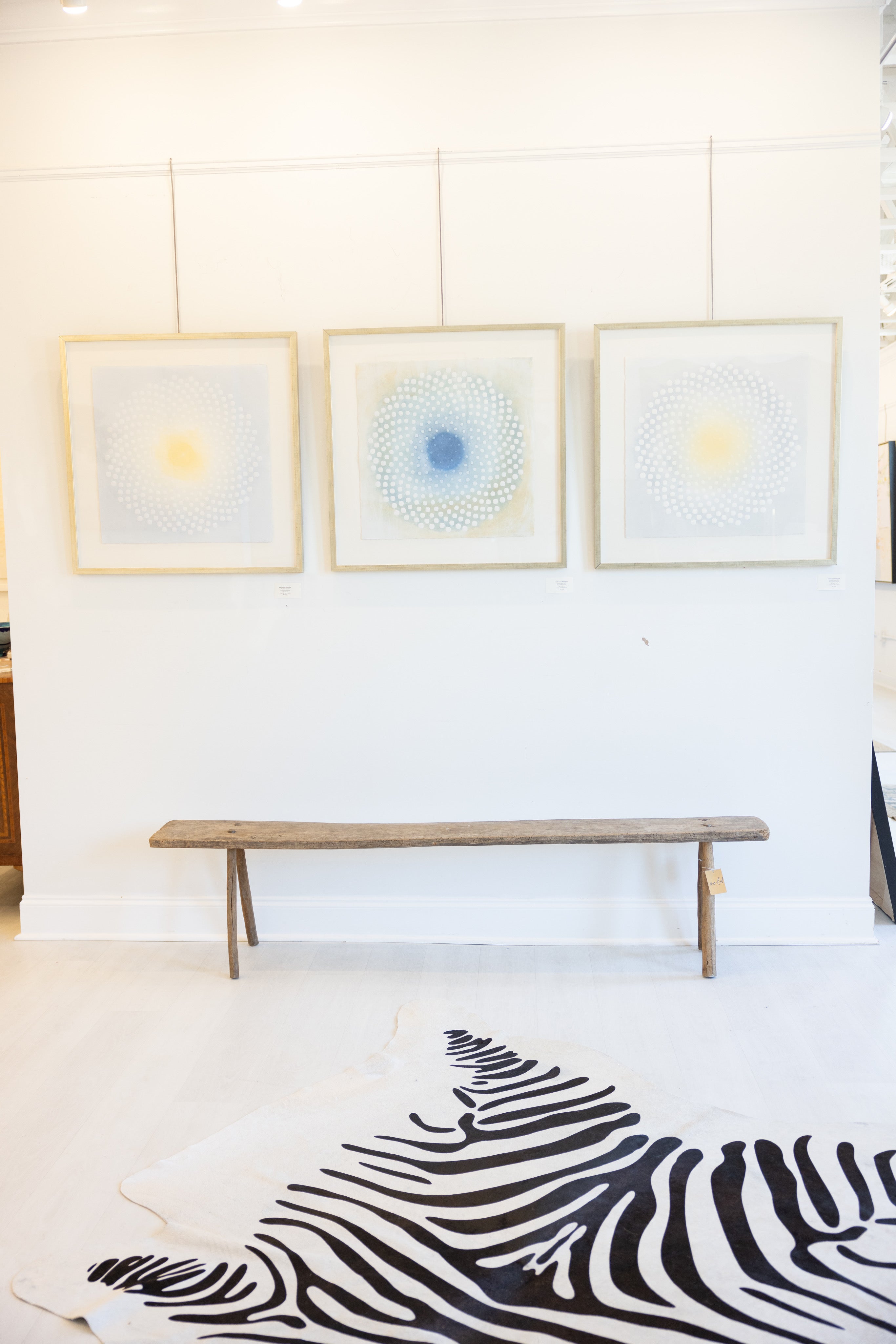 Katherine Warinner - Phyllotaxis 404 (22 x 22)