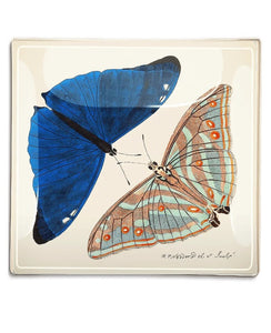 Blue Butterfly Pair Tray 6" x 6"