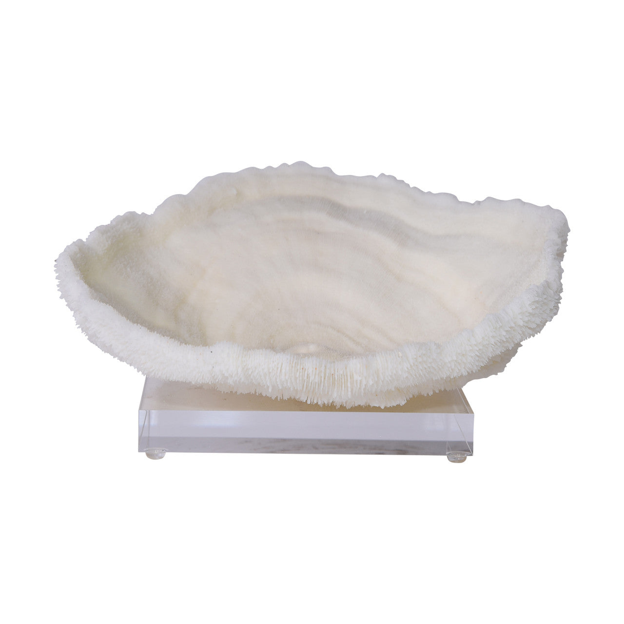 Coral Bowl on Acrylic Base