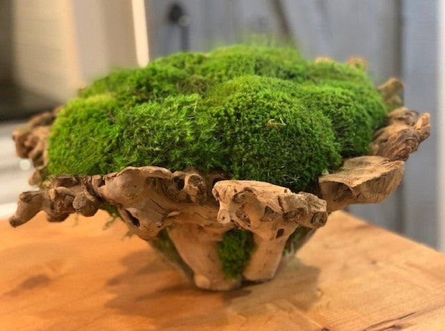 Large Mossed Branchy Bowl