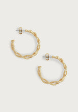 Load image into Gallery viewer, Coral Hoop Earrings