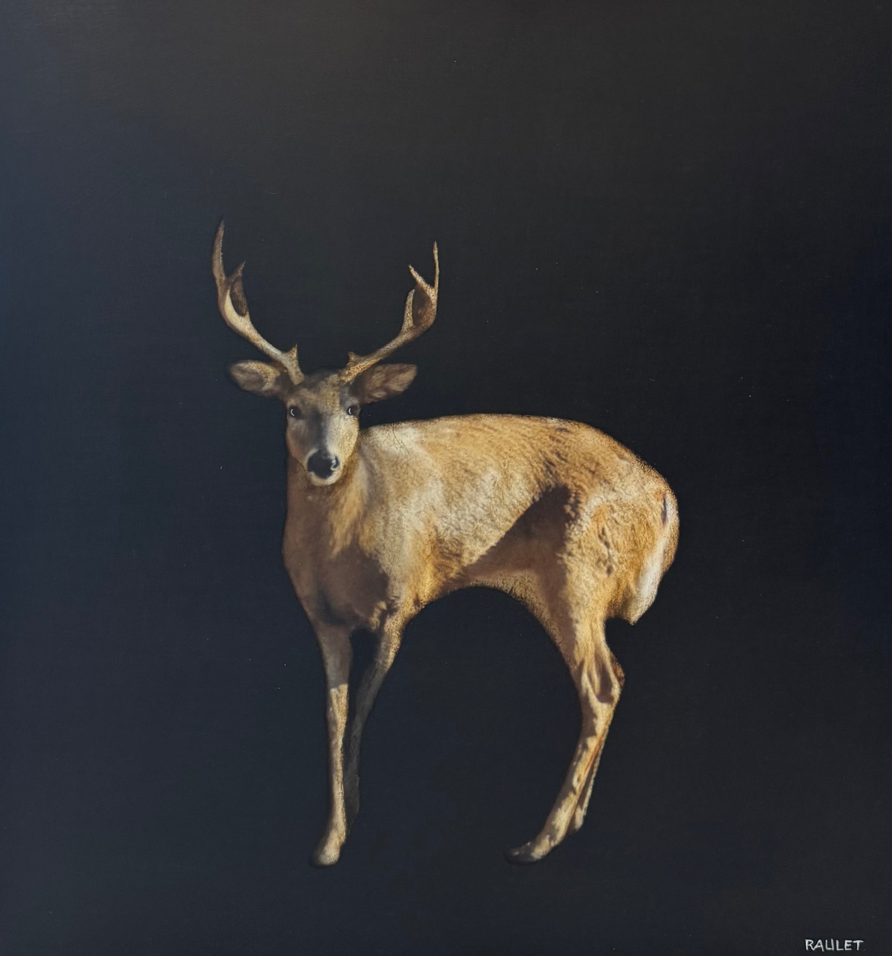 Dawne Raulet - Deerly Beloved (24 x 24)