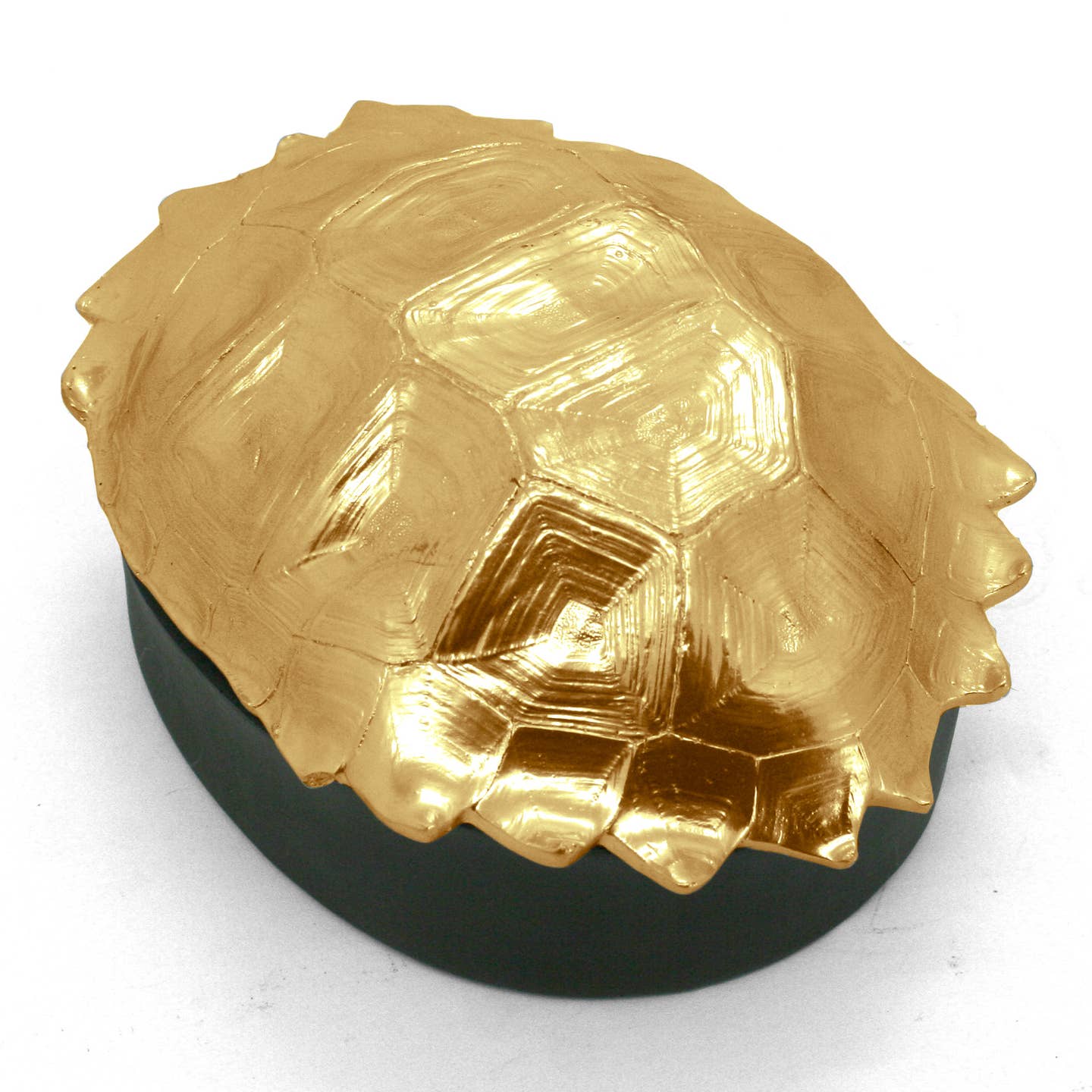 Gold Turtle Shell Box
