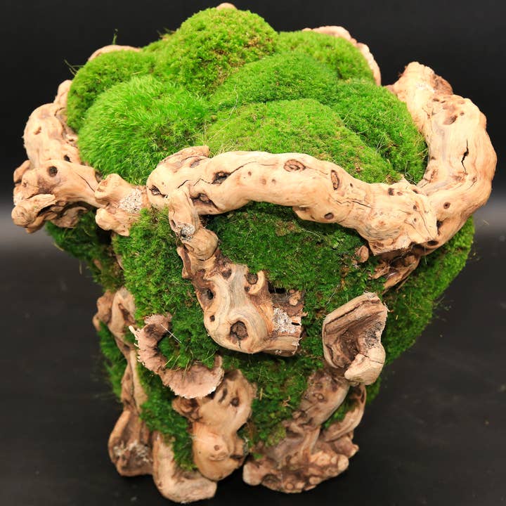 Grapevine Mossy Basket 12"H