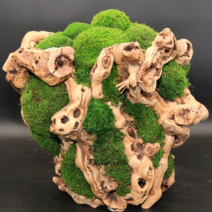 Grapevine Mossy Basket 14"H