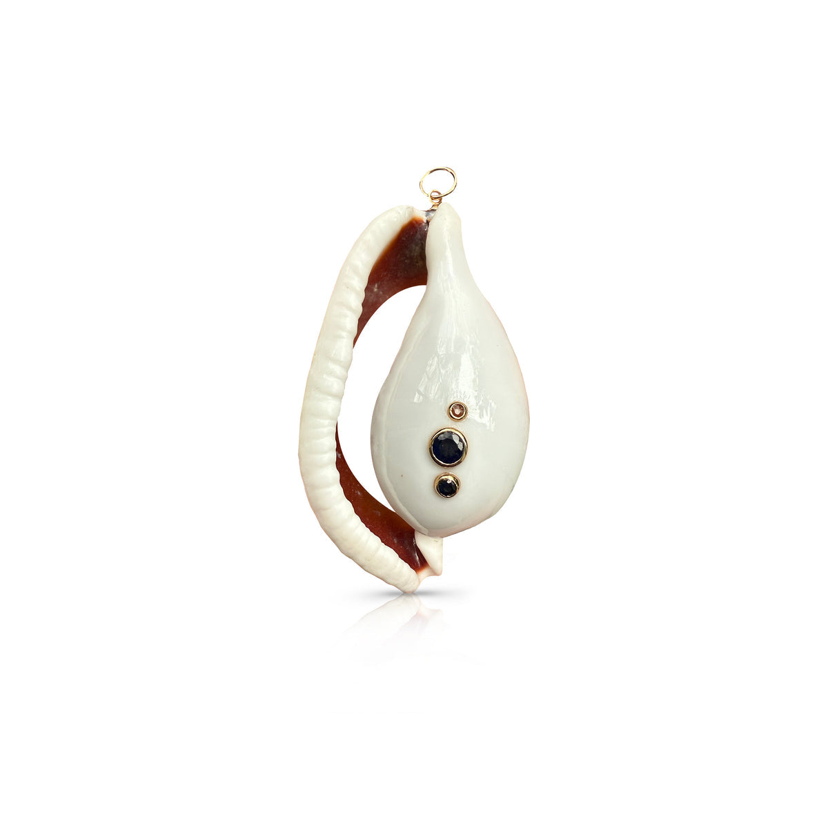 14K Jumbo Cowrie Shell Charm