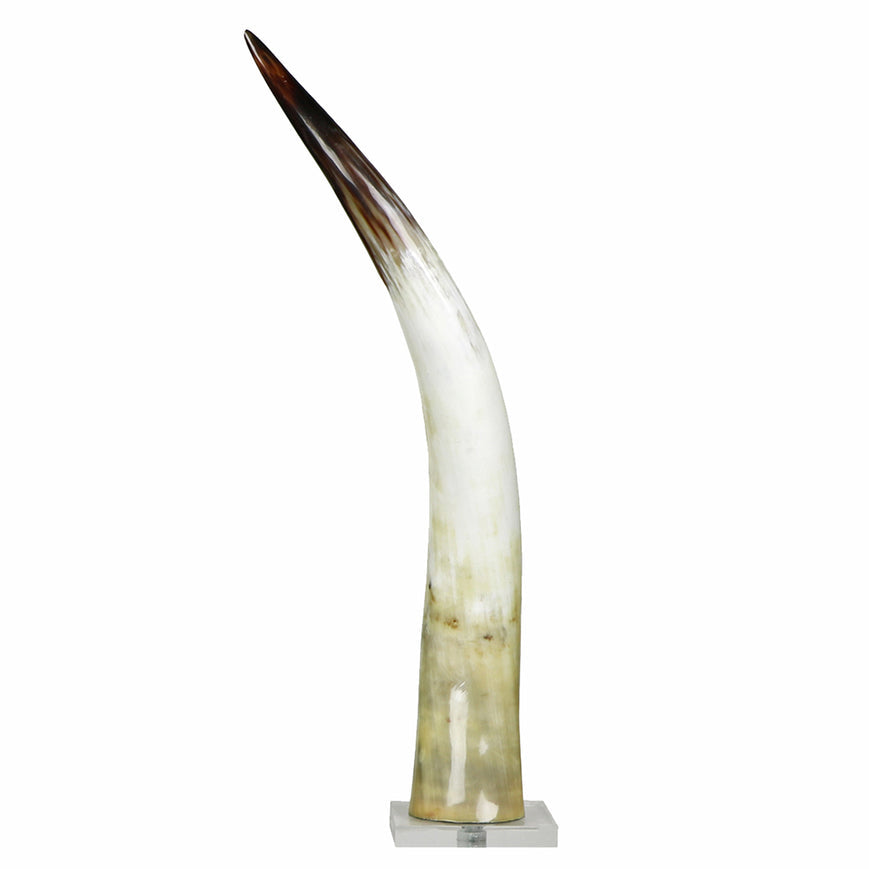 Large Black & White Cow Horn on Base