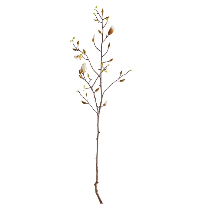 Magnolia Branch 49"
