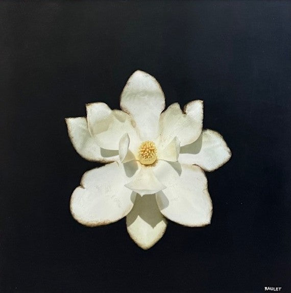 Dawne Raulet - Soft Rebel (18 x 18)