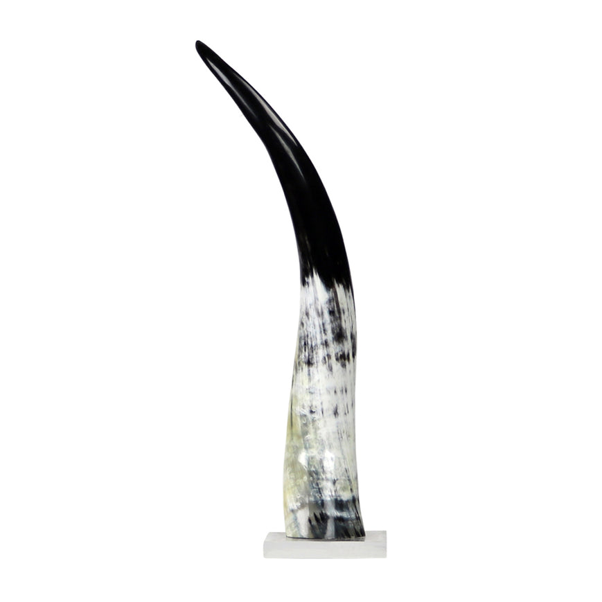 Medium Black & White Cow Horn on Base