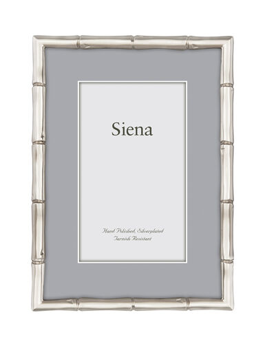 8x10 Metal Bamboo Frame
