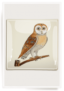 Owl Hoot Tray 6" x 6"