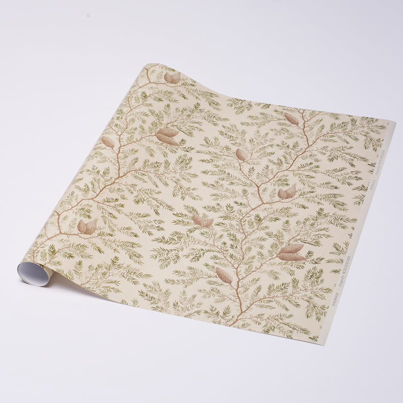 Pinewood Wrapping Paper in Spruce