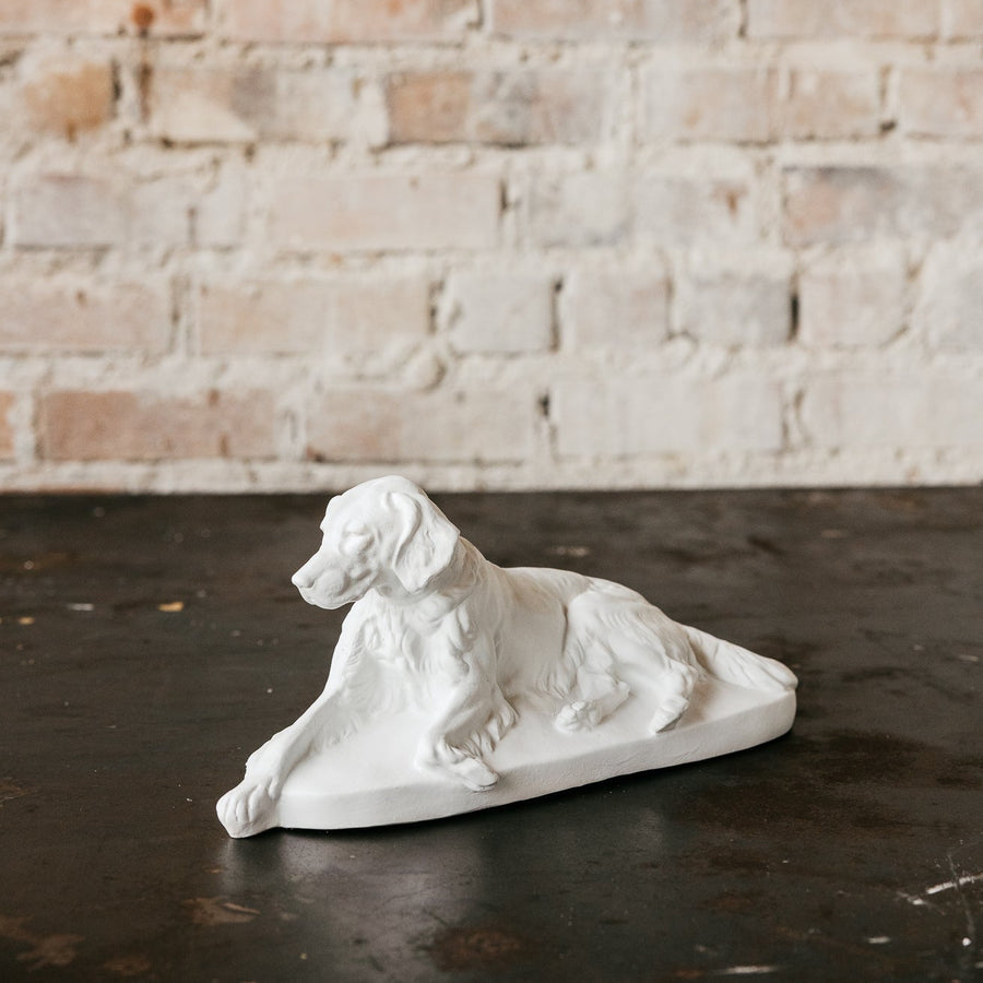 White Resting Setter Dog