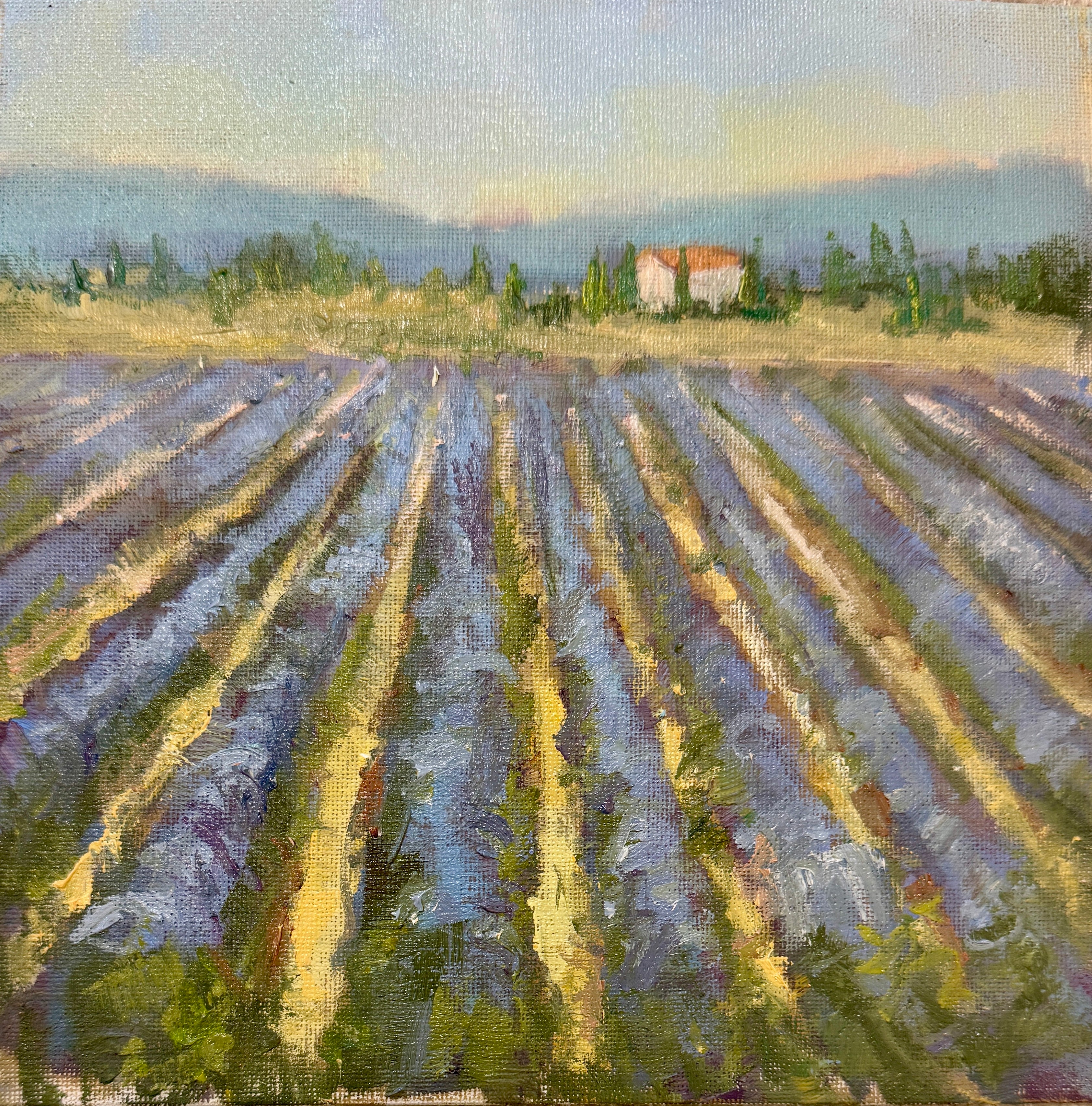 Allison Chambers - Provence (8 x 8)