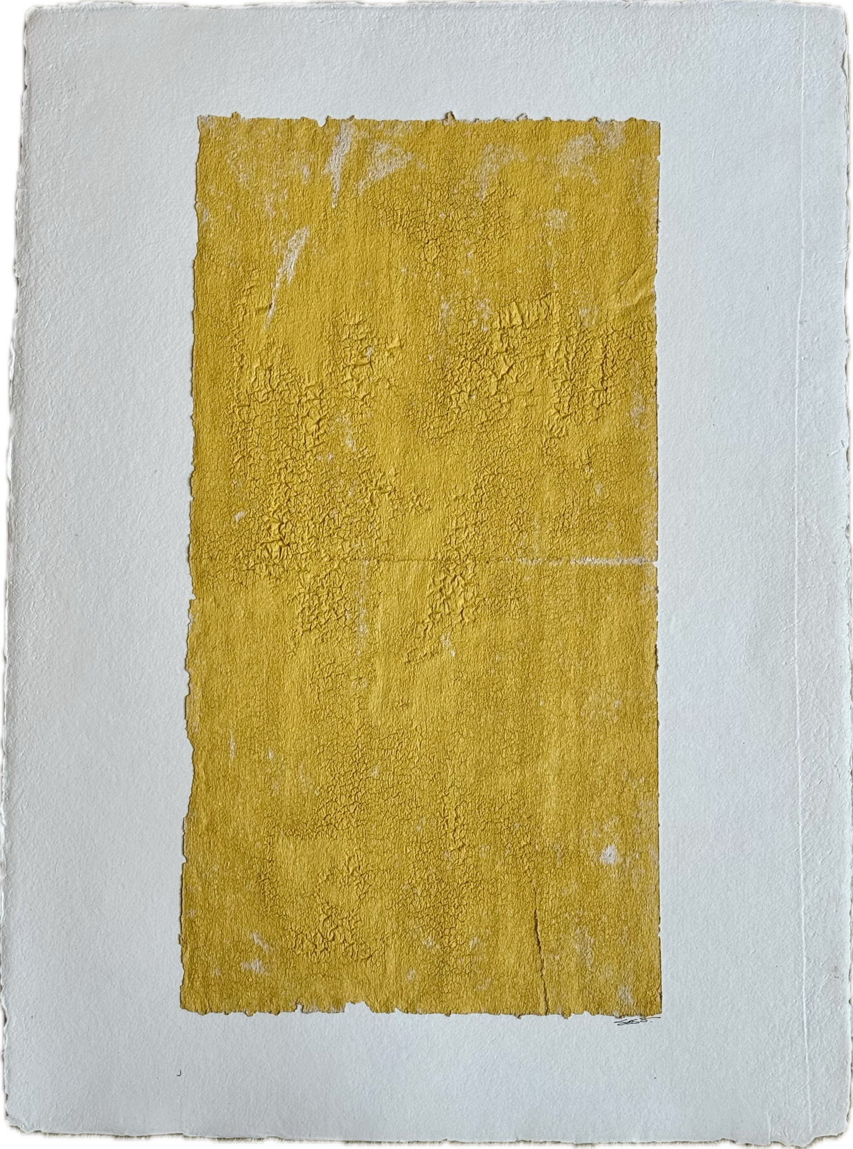 Brook Soss - Sonny (30 x 22)