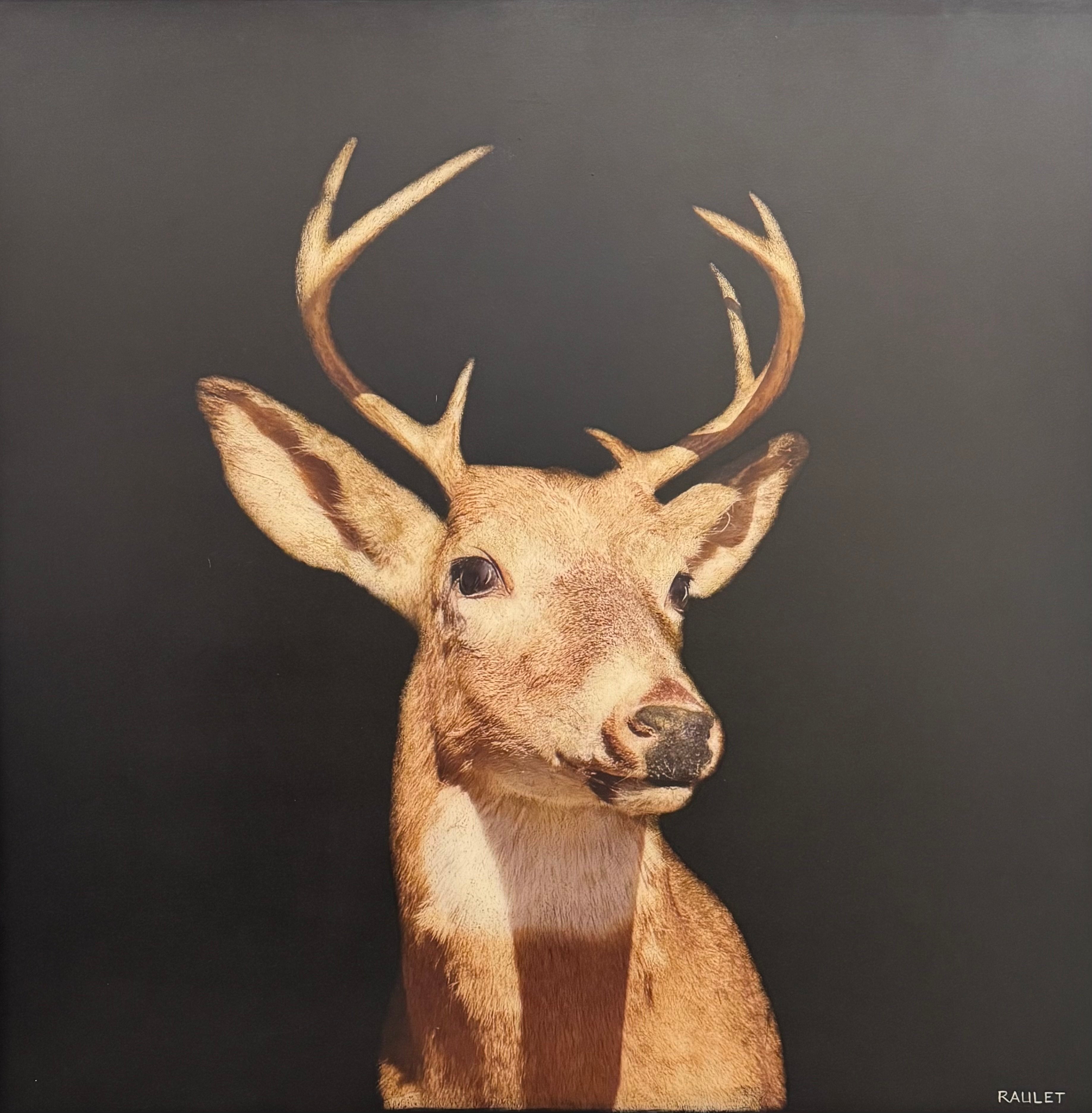 Dawne Raulet - No Eye Deer (36 x 36)