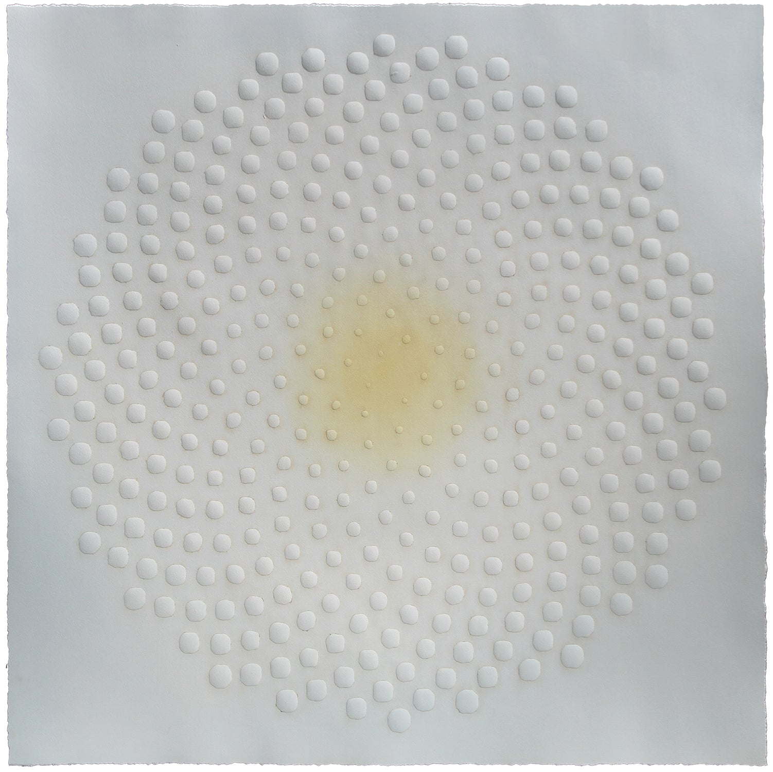 Katherine Warinner - Phyllotaxis 04 (34.5 x 34.5)