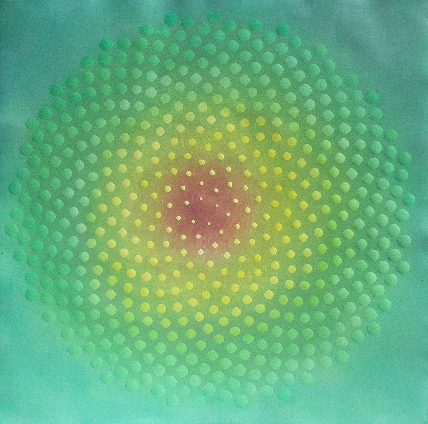 Katherine Warinner - Phyllotaxis 34 (34.5 x 34.5)