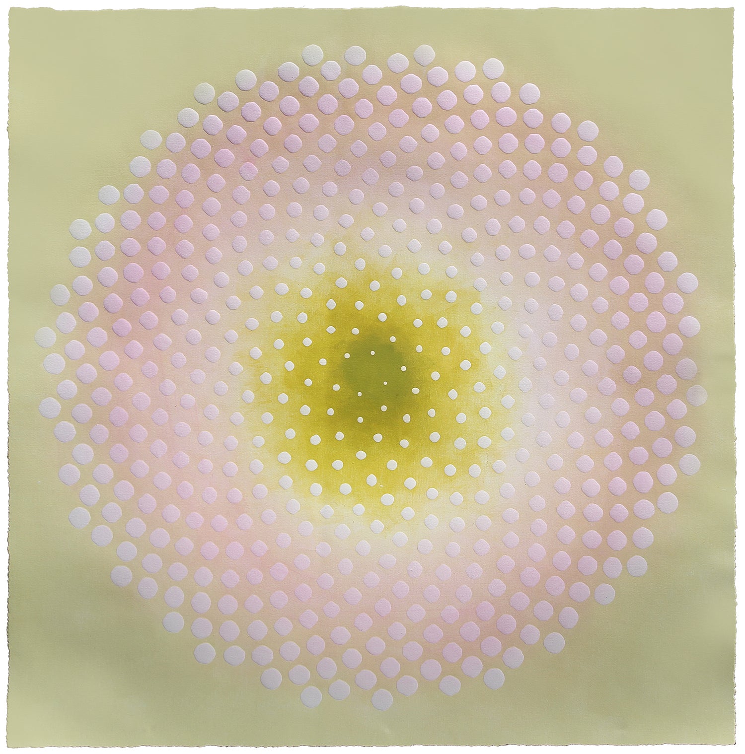 Katherine Warinner - Phyllotaxis 43 (34.5 x 34.5)