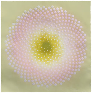 Katherine Warinner - Phyllotaxis 43 (34.5 x 34.5) - RESERVED