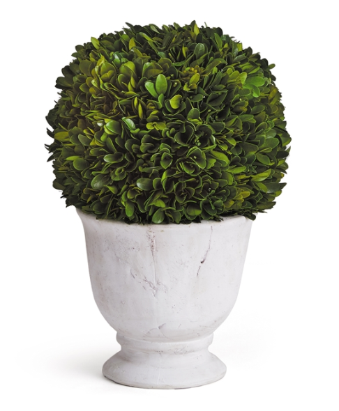 Ball-Shaped Topiary in Pot