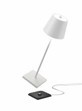Load image into Gallery viewer, White PRO Lamp with Charger