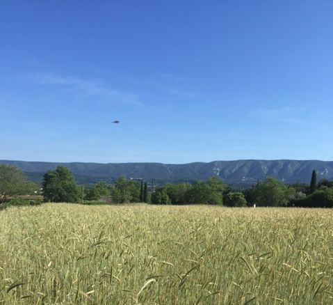 Building a dream house in Provence